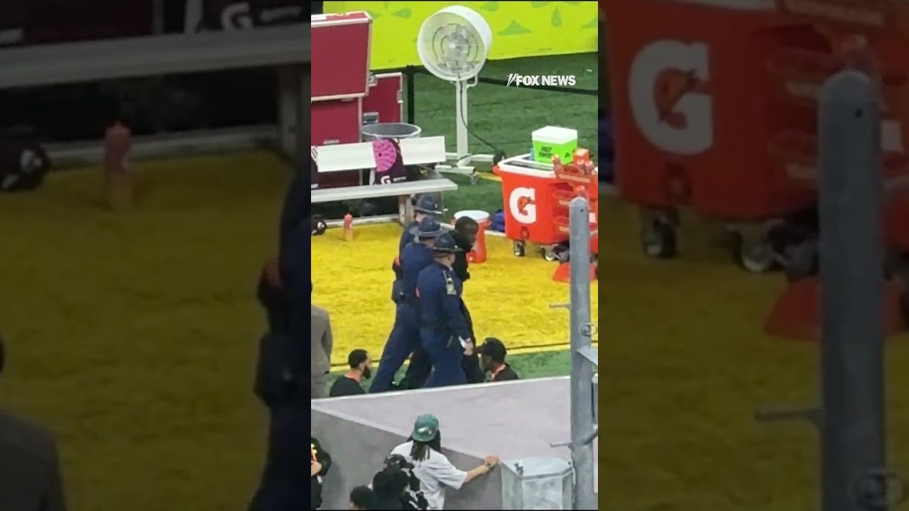 Anti-Israel protester waves Palestinian flag during Super Bowl halftime show