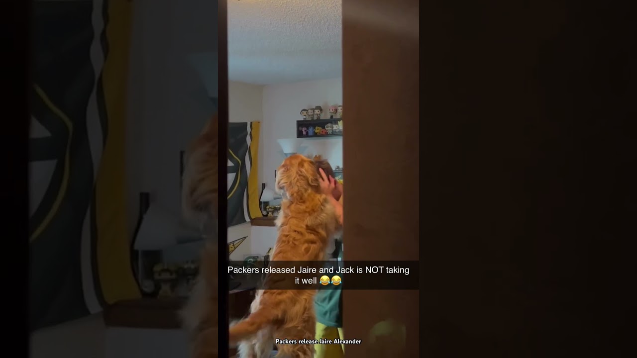 He needs to stop buying jerseys ๐ #nfl #packers #greenbay #gopackgo #football #jairealexander #news He needs to stop buying jerseys ๐ #nfl #packers #greenbay #gopackgo #football #jairealexander #news