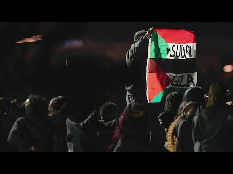 Performer accused of disrupting Super Bowl LIX Halftime Show arrested, police say Performer accused of disrupting Super Bowl LIX Halftime Show arrested, police say