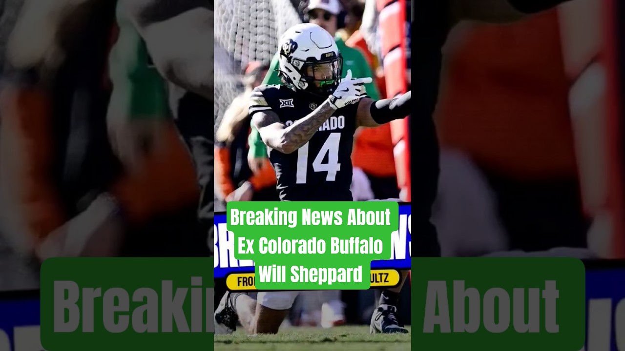 Breaking News About Will Sheppard #shorts #breakingnews #shedeursanders #willsheppard #football #nfl Breaking News About Will Sheppard #shorts #breakingnews #shedeursanders #willsheppard #football #nfl
