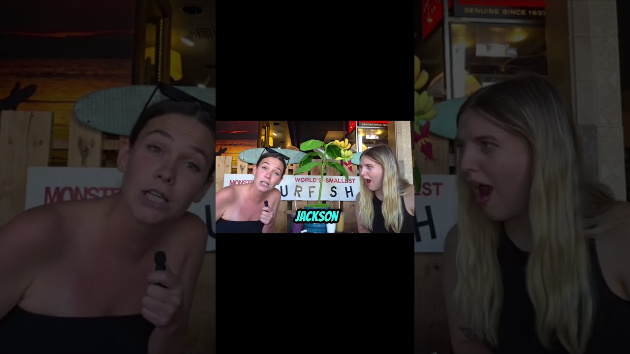 NFL week 3 recap with some breaking and exciting news! #nfl #foryou #football #breakingnews Vlog NFL week 3 recap with some breaking and exciting news! #nfl #foryou #football #breakingnews Vlog