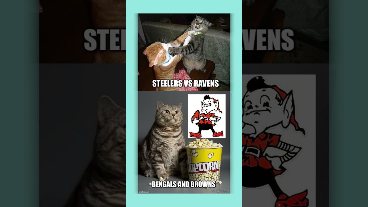 Best NFL Memes 9 Vlog Best NFL Memes 9 Vlog