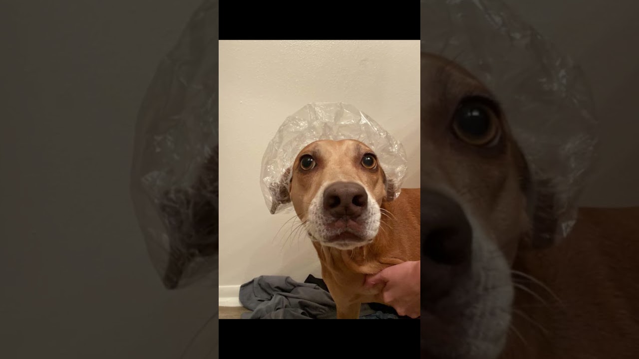 It’s just flag football… It’s just flag football…