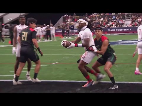 NFL turns Pro Bowl into flag football to grow the game and reach new fans NFL turns Pro Bowl into flag football to grow the game and reach new fans