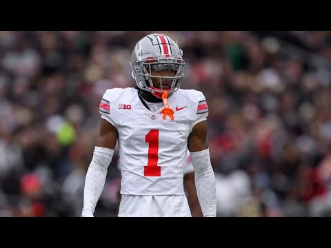 Davison Igbinosun 2025 Highlights | 2026 NFL Draft Prospect