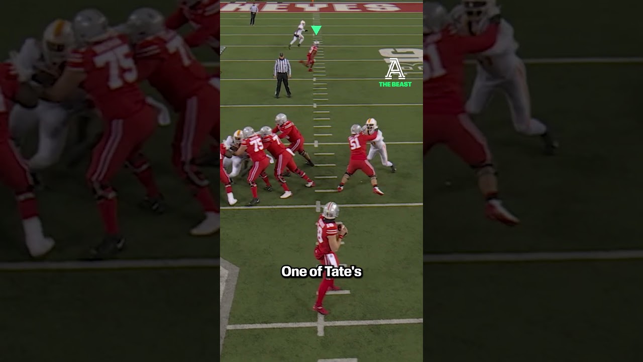 Does Carnell Tate Have the BEST HANDS in the NFL Draft? Does Carnell Tate Have the BEST HANDS in the NFL Draft?