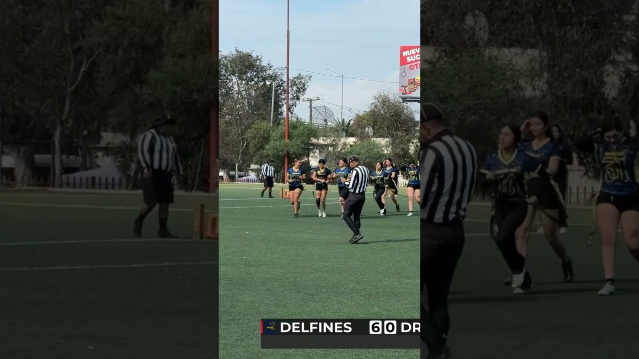 Flag / tocho / football