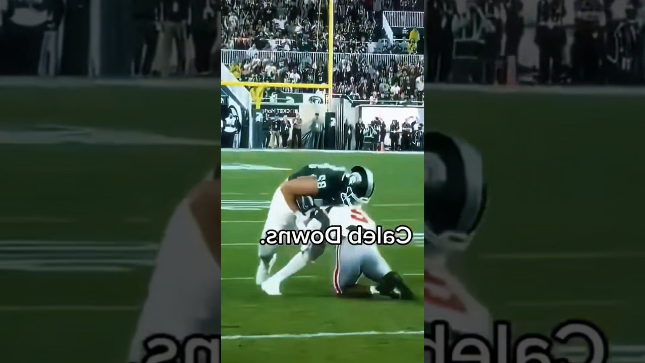 King of the Field🏈 #nfl #nflshorts #nflhighlights #nflclips #nflfootball #nflfans #nfllive #nflnews